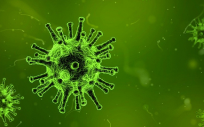 Coronavirus: su cosa si può scommettere adesso?